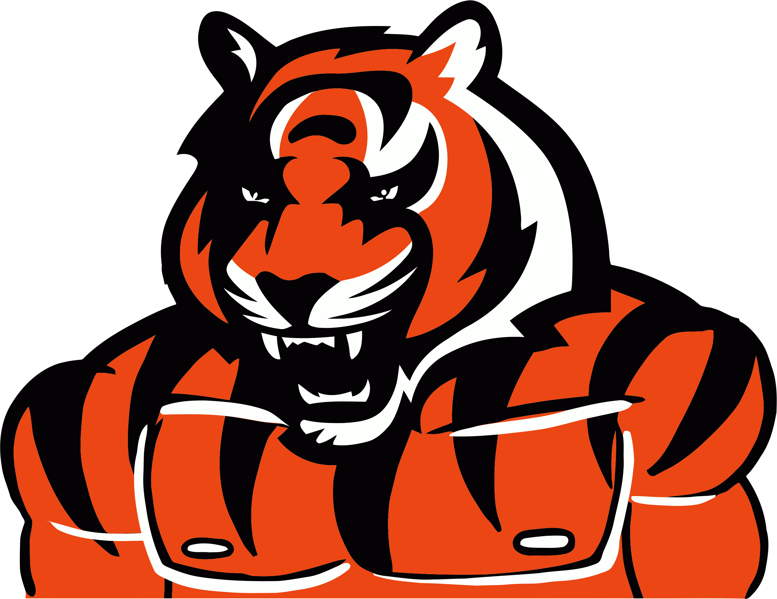 Cincinnati Bengals Steroids Logo fabric transfer